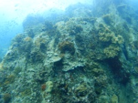 DSC06430