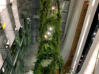 IMG 7932