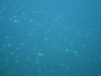 DSC01546