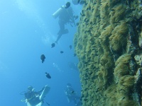 DSC01965