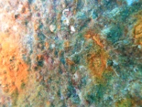 DSC03091