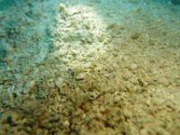 DSC03529