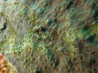 DSC04164