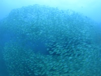 DSC05645