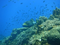DSC01468