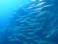 DSC02424