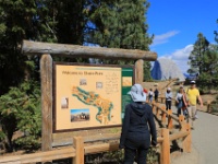5D4 2453  天候が優れないからと昨日は敬遠していたグレイシャー・ポイントへ。今日は特に天気が良いかったからか、 駐車場に入るまで渋滞しておりそれなりに並ばされています。まさかこんな山の上で渋滞しているとはね。