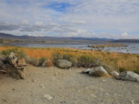 5D4 2824  撮影スポットはMono Lake沿いに複数ありますが、まずは宿泊地に近いところから行ってみたいと思います。