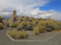 5D4 2936  来ました来ました、今回もやってきましたよSouth Tufa。