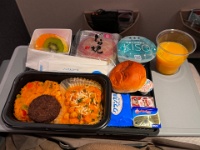 IMG 1313  夜が明けたので有無を言わさず朝食。正規のメニューが尽きてしまったのか、ベジタリアン向けメニューが提供されております。 マメのカレーにマメで作られたイミテーションミートがインド人をターゲットとした激しめの味付けのメニュー。朝なのに。。