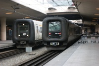 IMG 7844
