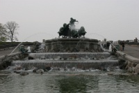 IMG 7866
