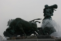 IMG 7871