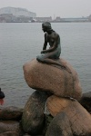 IMG 7890