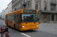 IMG 7907
