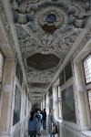 IMG 7933