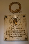 IMG 7972