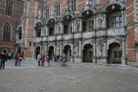 IMG 7981
