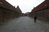 IMG 8019
