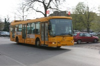 IMG 8153