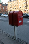 IMG 8229