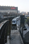 IMG 8461