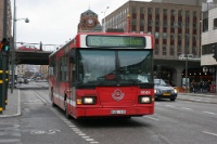 IMG 8475