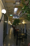 IMG 8485