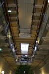 IMG 8489