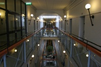 IMG 8492
