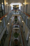 IMG 8495