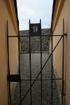 IMG 8500
