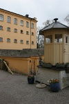 IMG 8502