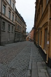 IMG 8517