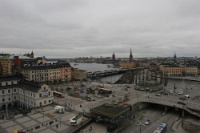 IMG 8525