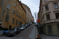 IMG 8605