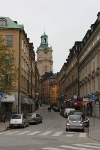 IMG 8733