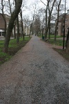 IMG 8881