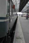 IMG 8986