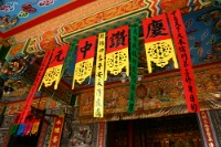IMG 0629