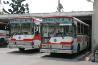IMG 0648