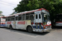 IMG 0653