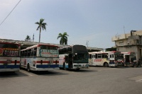IMG 0655