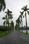 IMG 0670