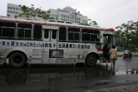 IMG 0695