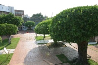 IMG 0916