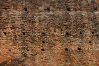 IMG 0926