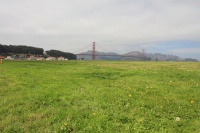 IMG_8191RH ƑL΂ăS[fQ[gubWցB