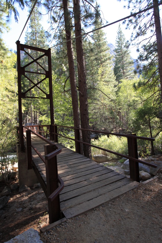 IMG_6052R 気を取り直してZumwalt Meadow Trailへ。今度こそ素晴らしい景色を！！