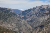 IMG_5964R 